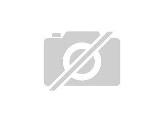 Gewinnen Sie einfach Geschäftspartner mit www. deinshop. net. tf